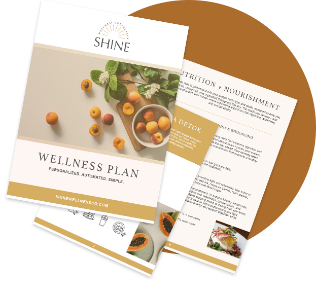 Automated Builder Preview Circle